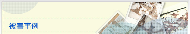 被害事例