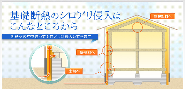 基礎断熱のシロアリ侵入はこんなところから　断熱材の中を通ってシロアリは侵入してきます