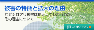 被害の特徴と拡大の理由　なぜシロアリ被害は拡大してしまうのか.その理由について