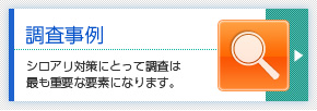 調査事例　シロアリ対策にとって調査はもっとも重要な要素になります。