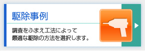 駆除事例 調査をふまえ工法によって最適な駆除の方法を選択します。