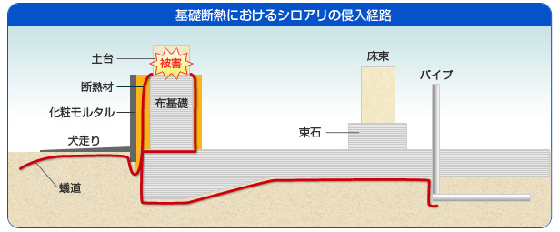 基礎断熱におけるシロアリの進入経路