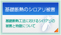 基礎断熱のシロアリ被害